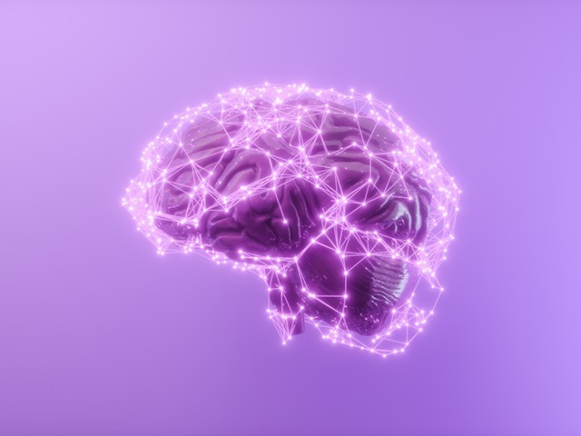 Illustration graphique d’un cerveau humain.