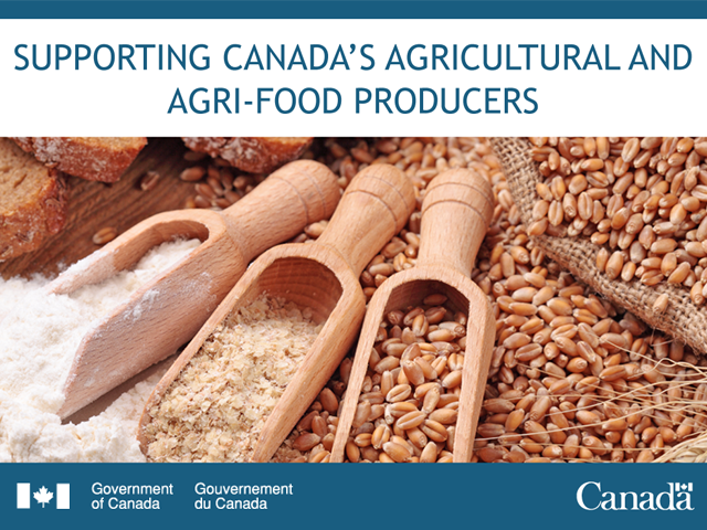 Feeding growth in southern Ontario’s agri-food sector