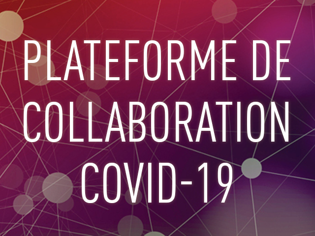 Une nouvelle plateforme coordonne les efforts liés à la COVID-19 dans toute la province